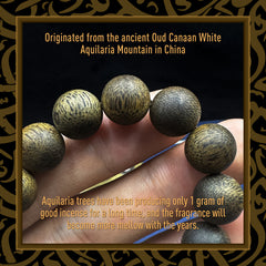 Agarwood Kyara Bracelet - Natural Aromatherapy & Spiritual Harmony